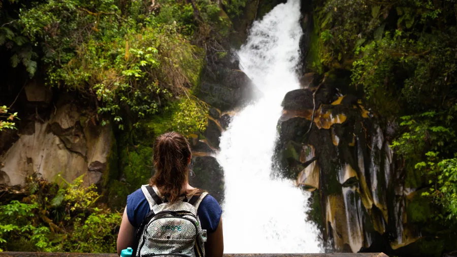Woman viewing a waterfall in Whirinaki Forest Park, Bay of Plenty, New Zealand