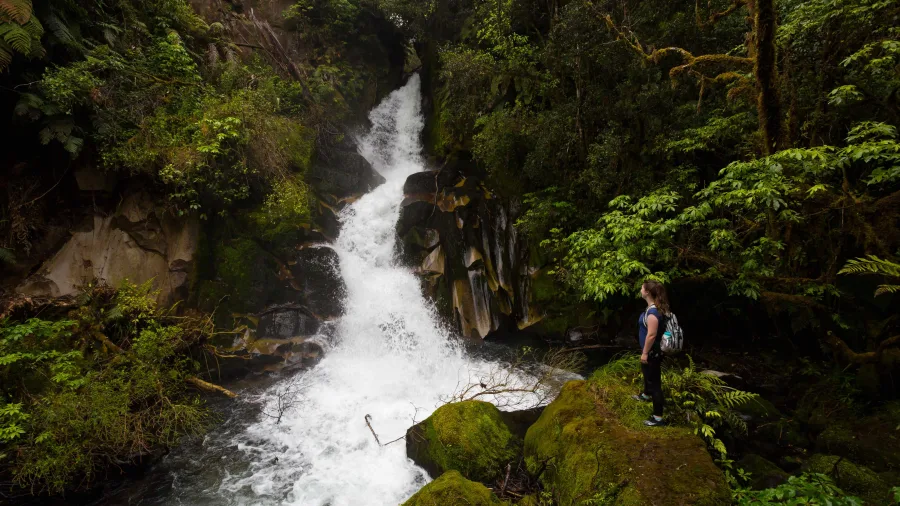 Woman standing near the rushing waterfall rapids in Whirinaki Forest, Bay of Plenty, New Zealand