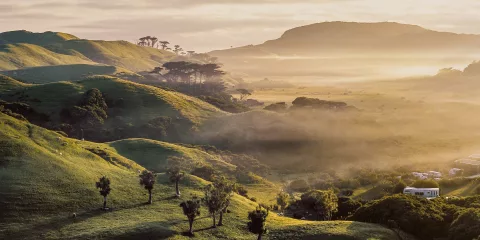 Motorhome camping among rolling green hills at sunrise in Paengaroa, Bay of Plenty, New Zealand