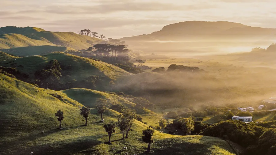 Motorhome camping among rolling green hills at sunrise in Paengaroa, Bay of Plenty, New Zealand