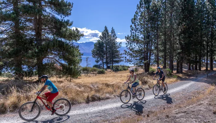 Three cyclists riding through a pine forest on the Alps 2 Ocean Cycle Trail near Lake Pukaki.