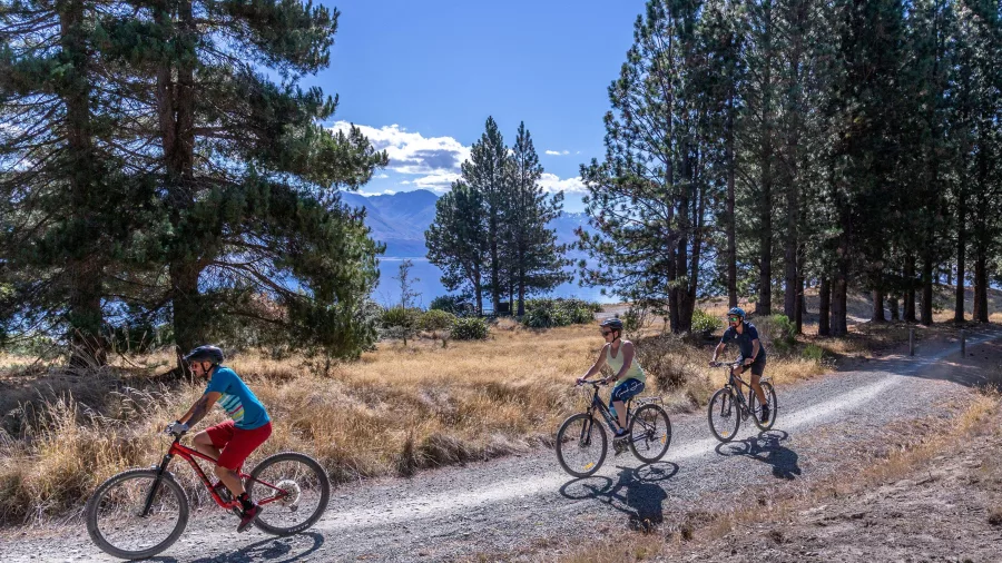 Three cyclists riding through a pine forest on the Alps 2 Ocean Cycle Trail near Lake Pukaki.