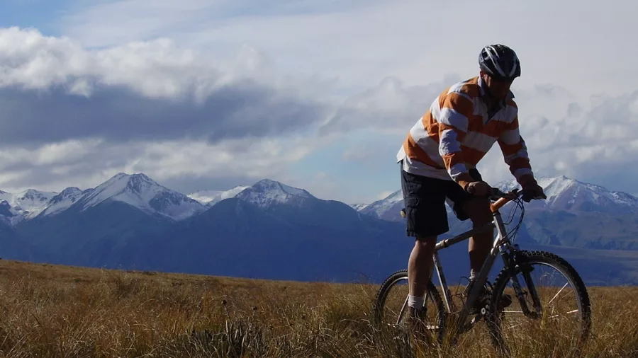 Mountain biker rides through golden tussock in high country terrain near Omarama.