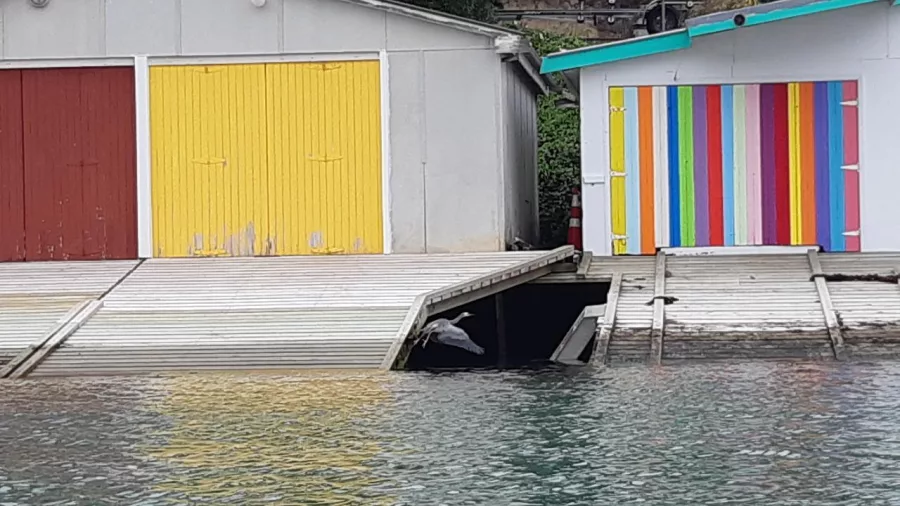 Close-up of striped boat shed on Akaroa harbour