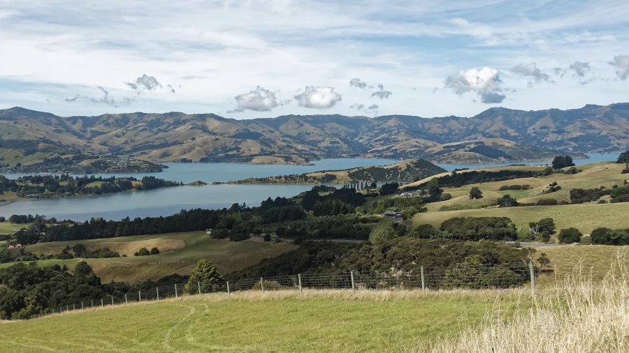 Rolling farmland hills overlooking Akaroa Harbour on Banks Peninsula