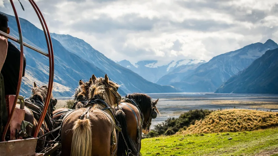 Horse-drawn wagon tour at Erewhon Station, Canterbury high country, New Zealand