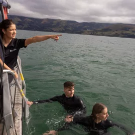 Tourists preparing to swim with dolphins from Black Cat Cruises boat in Akaroa Harbour