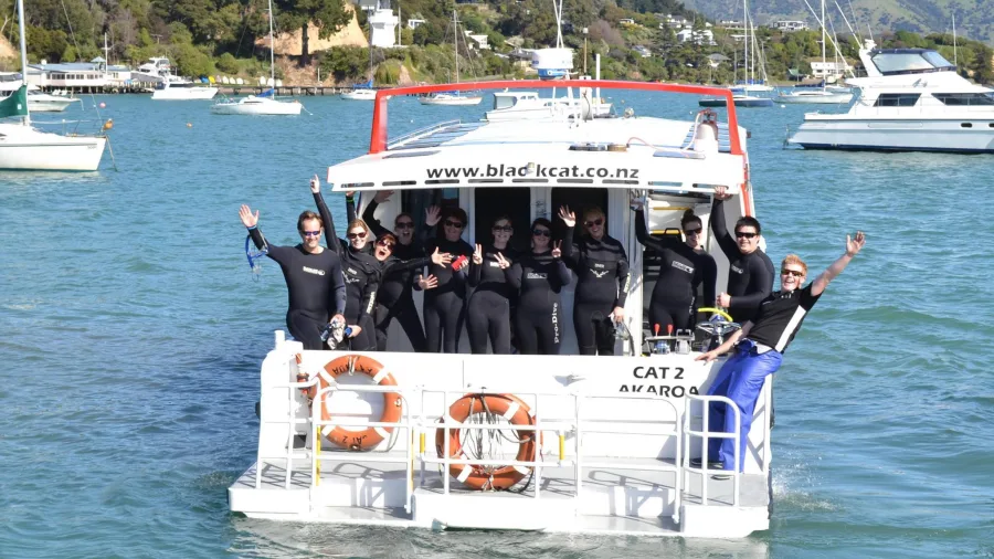 Tour group on dolphin swim boat in Akaroa Harbour