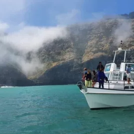 Fishing charter boat cruising near the cliffs of Akaroa Harbour on a misty morning
