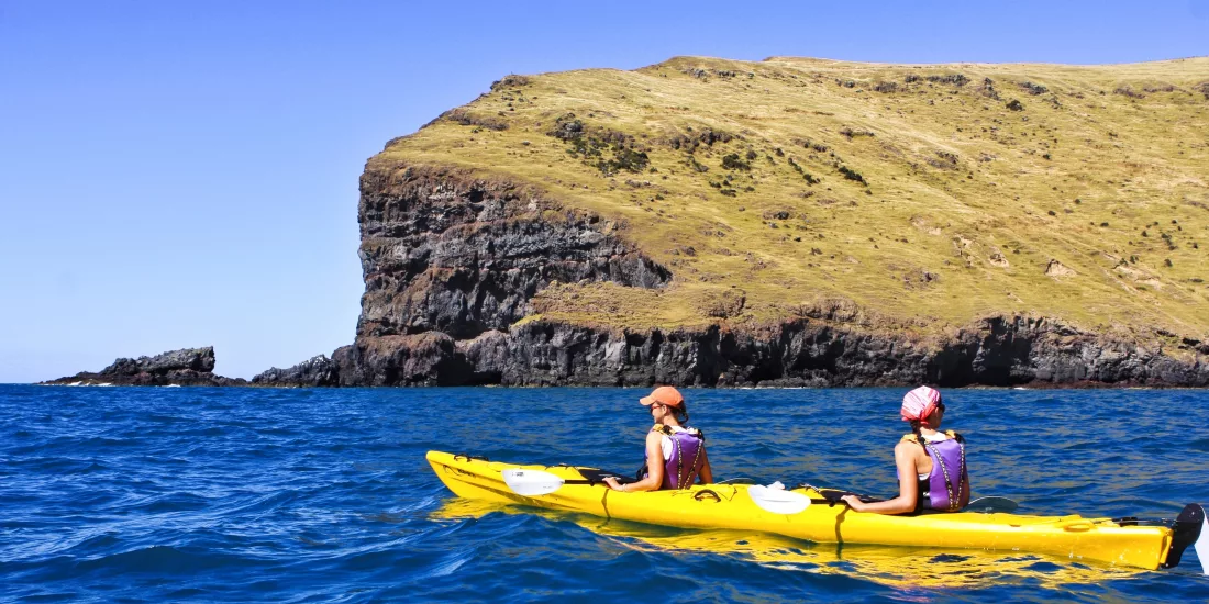 Two kayakers beside a large grassy headland on calm blue water at Pohatu Marine Reserve