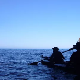 Silhouettes of kayakers emerging from a cave into the open sea in Akaroa