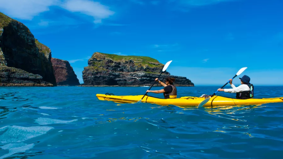 Two kayakers paddling past towering coastal rock formations at Pohatu Marine Reserve