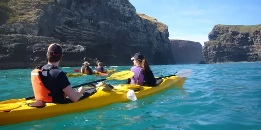 Group of kayakers paddling through turquoise waters between sea cliffs in Akaroa