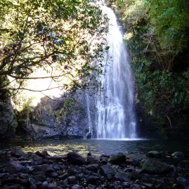 Waterfall along Banks Track near Pōhatu Bay, Akaroa