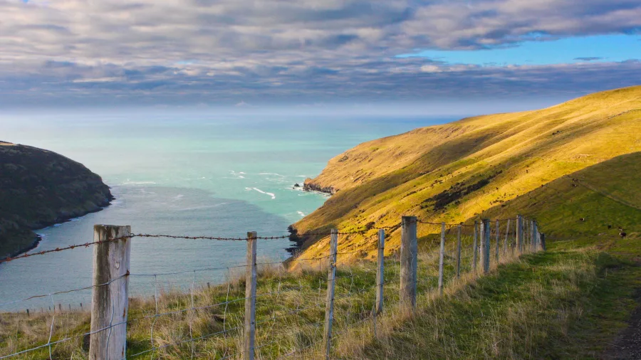 Banks Peninsula coastal landscape at Pohatu (Flea Bay), New Zealand