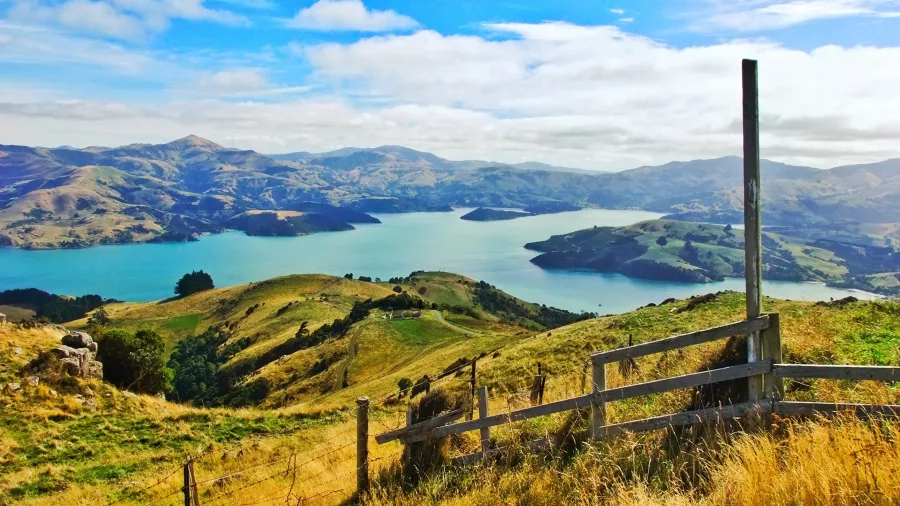 Hilltop view over Akaroa Harbour and surrounding hills
