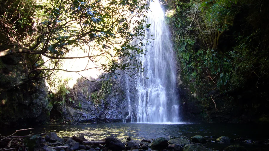 Waterfall along Banks Track near Pōhatu Bay, Akaroa