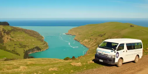 Pōhatu Penguins 4WD tour van overlooking Flea Bay