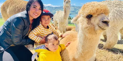 Family enjoying an alpaca encounter at Shamarra Alpacas overlooking Akaroa Harbour near Christchurch