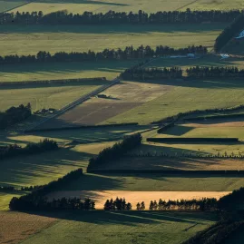 Aerial view of patchwork farmland on the Canterbury Plains New Zealand