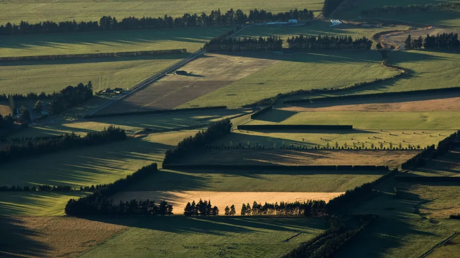 Aerial view of patchwork farmland on the Canterbury Plains New Zealand