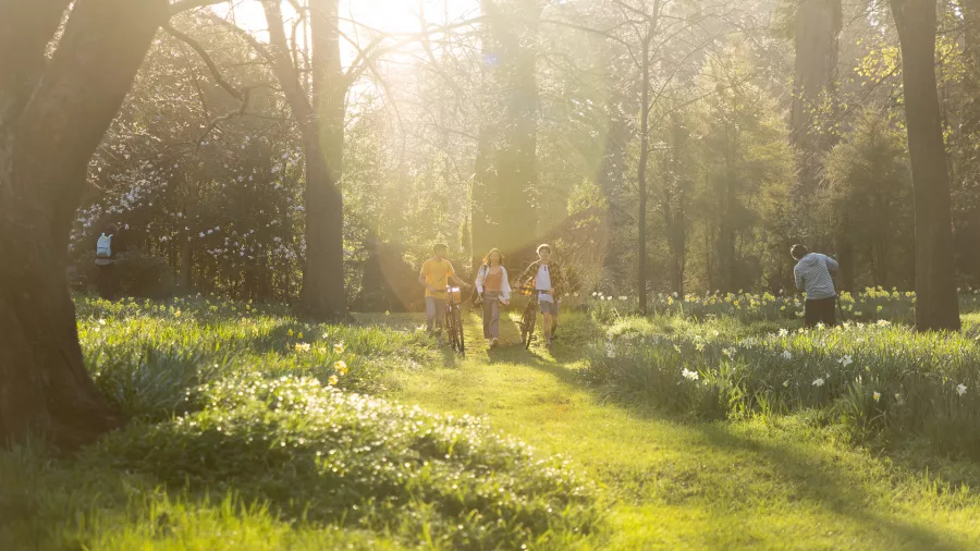 People walking through a sunlit meadow in Hagley Park, Christchurch