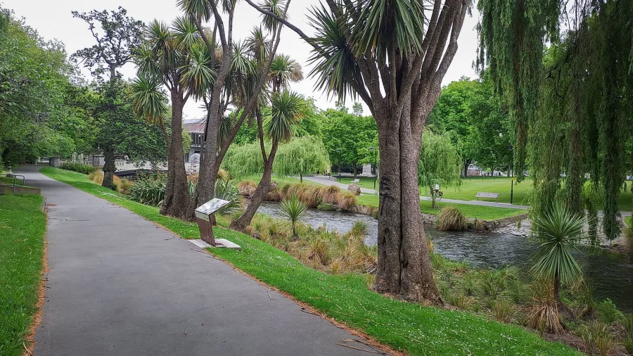 Pathway alongside the Avon River in Christchurch with native trees