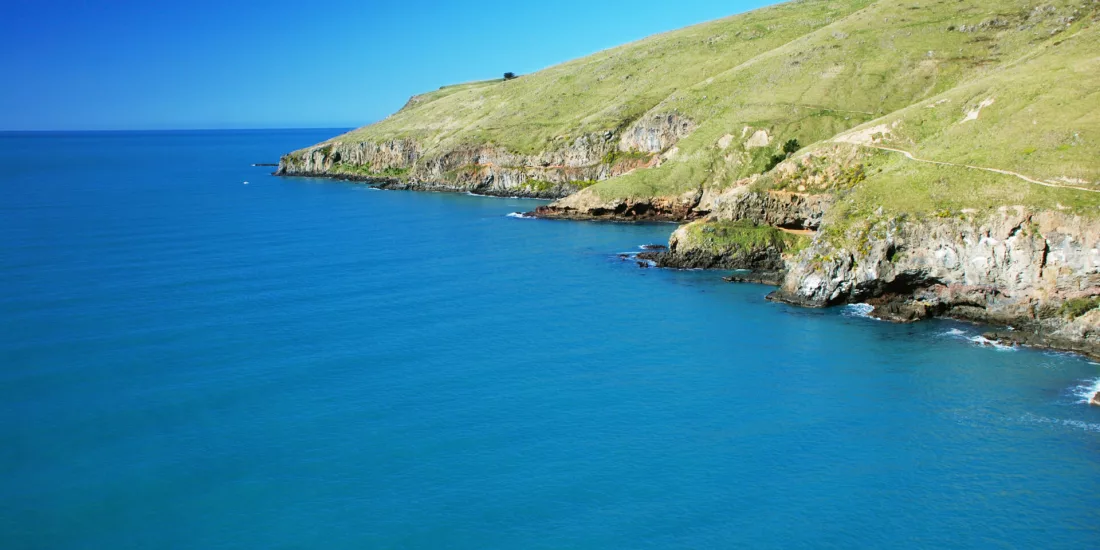 Bright blue water and rocky coastline seen from the Godley Head coastal trail near Taylors Mistake