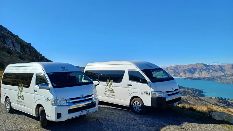 Two white tour vans parked with panoramic views of Lyttelton Harbour and surrounding hills