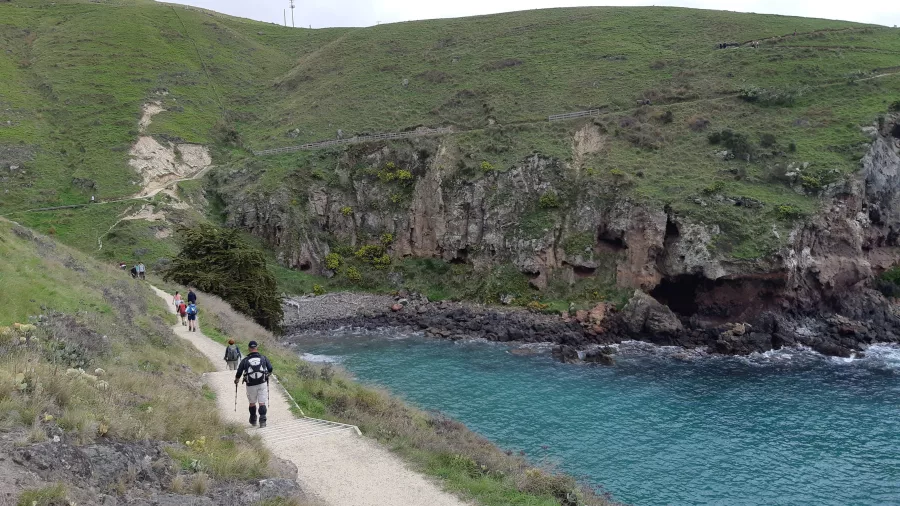 Walkers on the Awaroa/Godley Head Loop Track overlooking coastal cliffs and turquoise waters