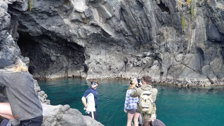 Visitors exploring the rocky shoreline and sea cave at Camp Bay near Godley Head