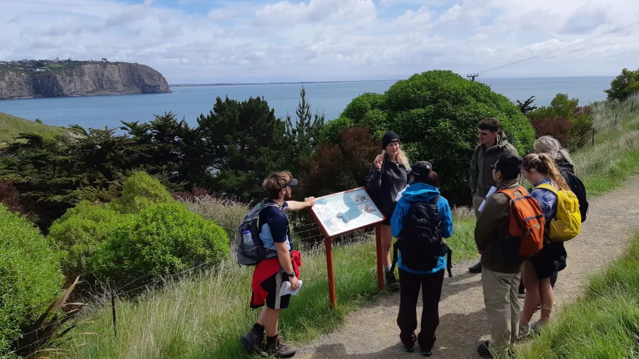 Scenic coastal view of Boulder Bay from the clifftop walking track near Godley Head