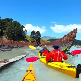 Kayakers paddling through historic shipwreck remains near Quail Island