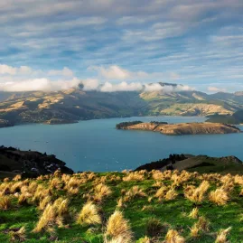 Scenic view of Lyttelton Harbour and Quail Island from hillside