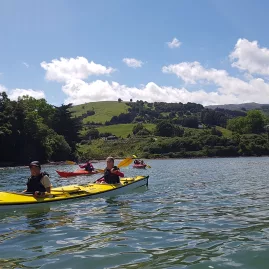 Group of kayakers on Lyttelton Harbour heading toward Quail Island