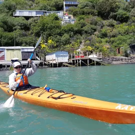 Kayaker paddling past waterfront baches near Diamond Harbour