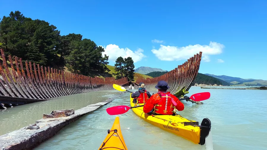 Kayakers paddling through historic shipwreck remains near Quail Island