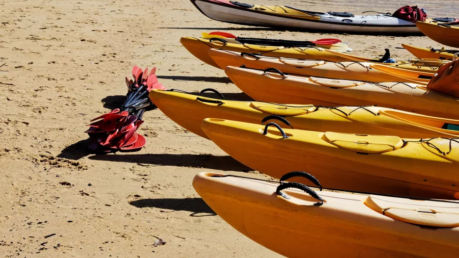 Sea kayaks lined up on the beach with paddles at Lyttelton Harbour