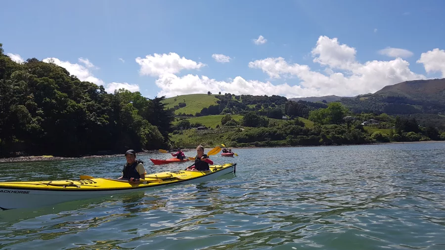 Group of kayakers on Lyttelton Harbour heading toward Quail Island