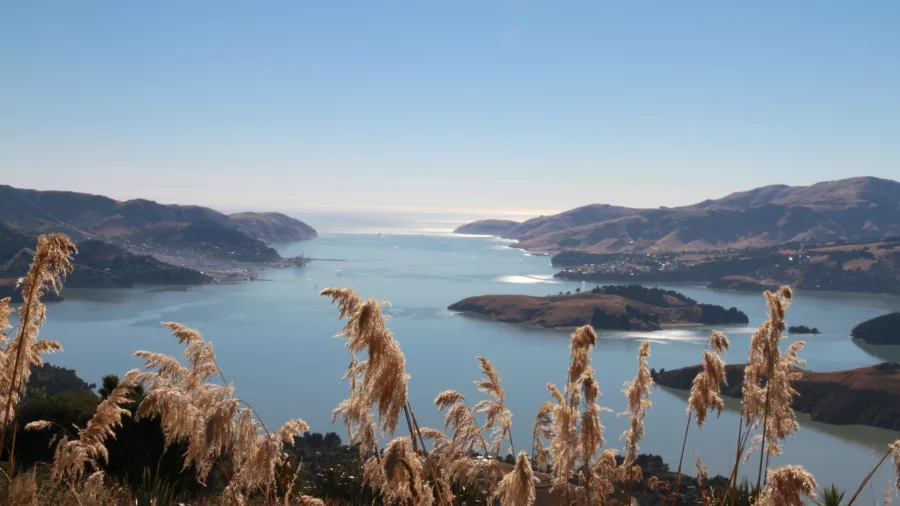 View across Lyttelton Harbour towards the open sea from high on the Port Hills