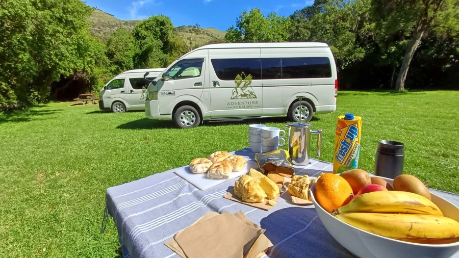 Picnic morning tea set up beside branded vans during a guided day walk to Packhorse Hut