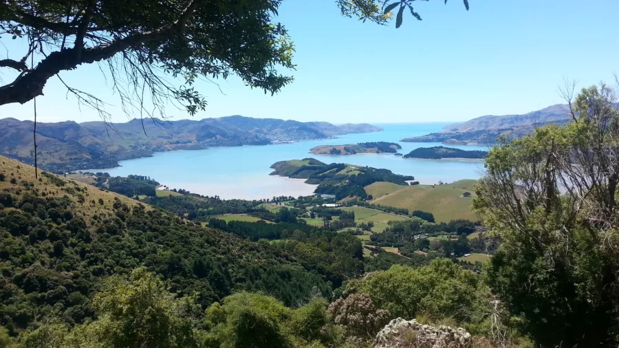 Panoramic view of Lyttelton Harbour and Banks Peninsula framed by native bush