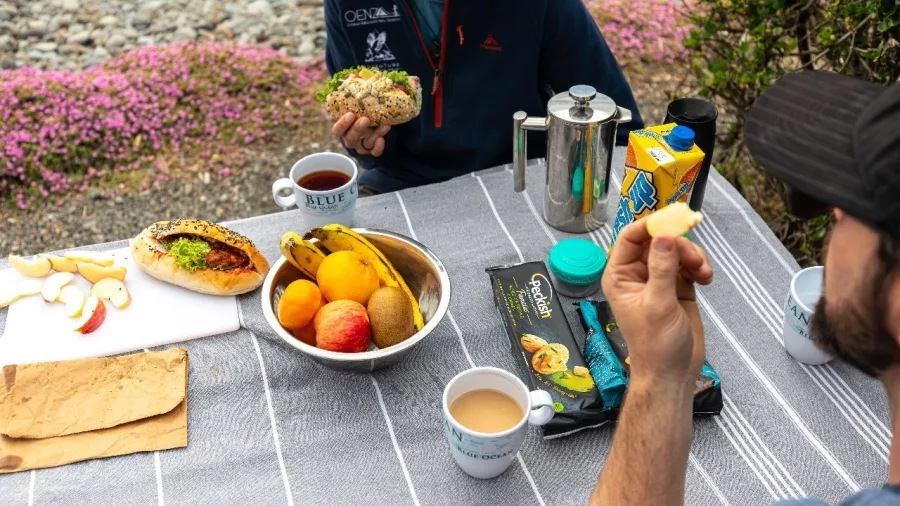 Outdoor picnic break with fruit, tea, and wraps on a striped tablecloth
