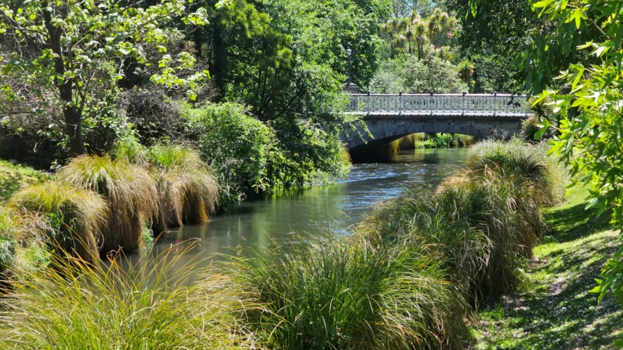 Peaceful view of Ōtākaro / Avon River with native plantings and footbridge
