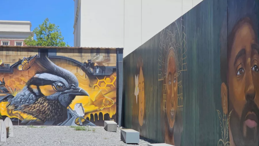 Bold murals featuring a bird and portraits in a hidden urban laneway in Christchurch