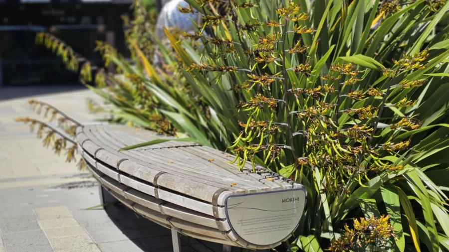 Mōkihi waka sculpture beside flowering harakeke flax in central Christchurch