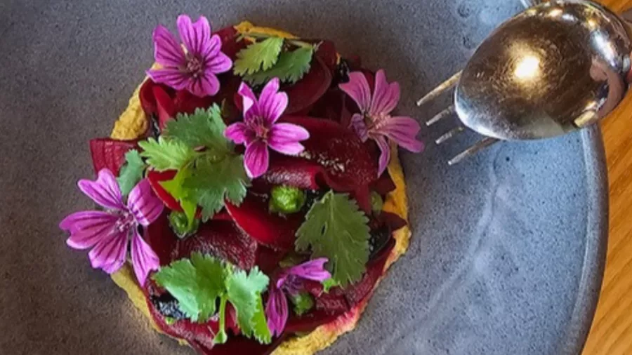 Gourmet beetroot and edible flower dish served on Luxe Kai Safari tour in Christchurch