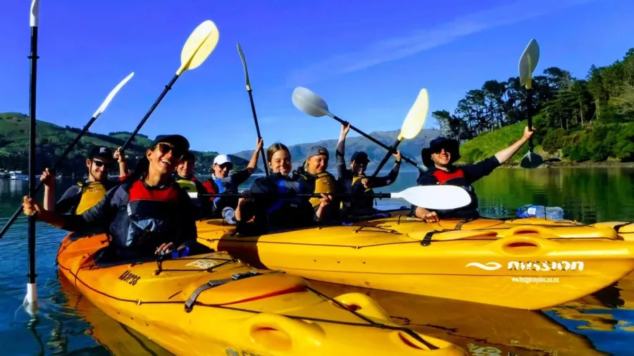 Group of excited kayakers raising their paddles during a sunny Akaroa Harbour adventure
