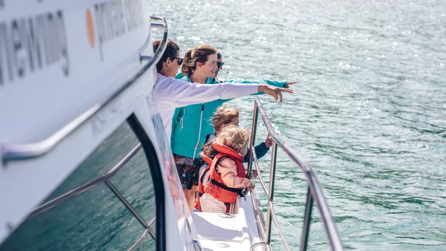 Family in life jackets pointing excitedly at dolphins from the deck of an Akaroa cruise boat