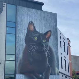 Large mural of a black cat with green eyes on the side of a building in Christchurch city